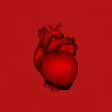 Mr Gib Lov ( La Fine Equipe Mix)
