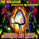 The Mixgician - Mushroom Jazz Mashup