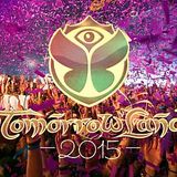 Best of Tomorrowland - 07 - Dave Clarke (Skint Rec) @ Recreational Area De Schorre Boom (25.07.2015)