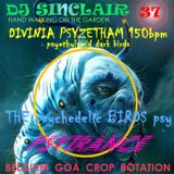 DJ SINCLAIR H37 DIVINIA PSYZETHAM 150bpm THE PSYBIRDS