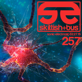 Sonic Electronic Episode 257 (melodic and expansive progressive house, trance, and techno)