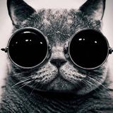 Techno Transistor Episode 4