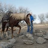 Interview with Mark Bolender of Bolender Horse Park about Obstacle Trail Courses