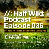 Half Wild: Podcast // Episode 036 // Extended Mix: Sebastian Wild
