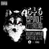 ReMIXTAPE issue08 - DEAR Mr.WOLF