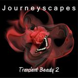 PGM 044: Transient Beauty 2