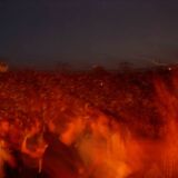The Dreamland: imaginary festival