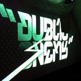 Dublic Enemy pt.4 (2008)