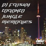 DJ Frisky - Toronto Jungle Memories