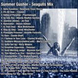 Summer Gusher