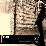 FLUX 37 // Guestmix: Twoheavi