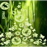 Fro8 aka Dj-Para