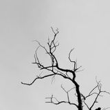 Kunal Merchant - Spring Free (March 2015 Live Mix)