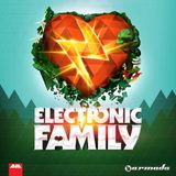 Alex M.O.R.P.H. live @ Electronic Family (Amsterdamse Bos, Amstelveen) - 19-07-2014