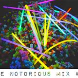 The Notorious Mix volume 13 (Part 1 - Tech House)(Mixed by NTRSDNS)