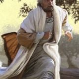 Le scandale de la grâce (Luc 15:11-32)