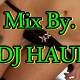01.12.2014 - Mix By. Dj Haui ( Die Stampfsau ) 100 %