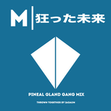 MADFUTURE | PINEAL GLAND GANG MIX 4 | MIXED BY IAO AUM