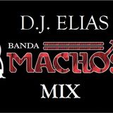 DJ ELIAS - BANDA MACHOS MIX