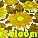 bloom
