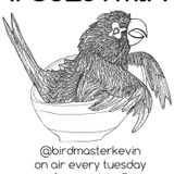 Birdmaster Kevin - RWD.FM Broadcast 11/17/2015 (Owen Williams Guest Mix)
