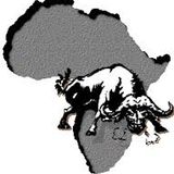 AFRICA RISING