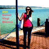 DSH - Sunset Vinyl Minimix
