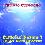 Mario Corleone - CATCHY TUNES 1 - IBIZA Tech Grooves - Dec 2015 - GROOVY TRAX N°27 -