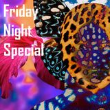 Friday Night Special (De Expeditie)