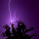 Purple Skys (1995)