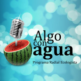Programa 4 - 13/12/2011