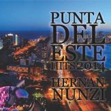 HERNAN NUNZI PUNTA DEL ESTE HITS 2014