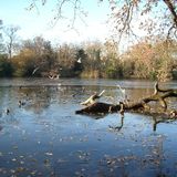 Higham's Park Summer Chillout