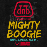 Arena dnb radio show - vibe fm - mixed by MIGHTY BOOGIE - 8 APR 2014