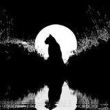 WITCHERY