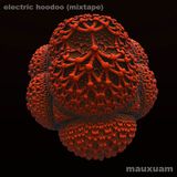 electric hoodoo (mixtape)