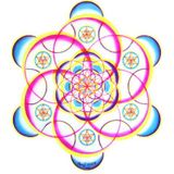 in the oceans of knowledge "Rumi text "
