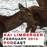 Kai Limberger Podcast February 2013