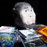 "‘Please Listen to My CD-R’: Underground Hip-Hop Music from the Fans" by Anthony Kwame Harrison