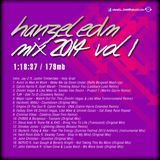 DJ Hanzel EDM 2014 vol.1