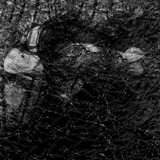 Sound in the Attic #213