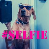 WillOo - # Selfie !