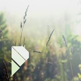 naturebylight (mit The Flashbulb et al.)