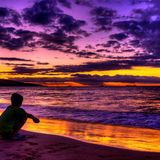Progressive dreams set 324 week 38 2012