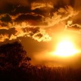 Golden Brown