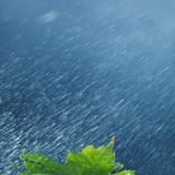 tr.ax_warm.fuzzy.feelings