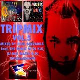 TRIPMIX VOL.5 MIXED BY PAUL GUEVARRA FT. MIXMASTA DJ KLU & KRUSHNGROOVE