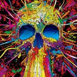 HoodMushroom Techno Trip 13