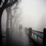 Foggy