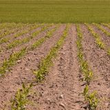 RAI Landwirtschaft heute 25.5.2014
